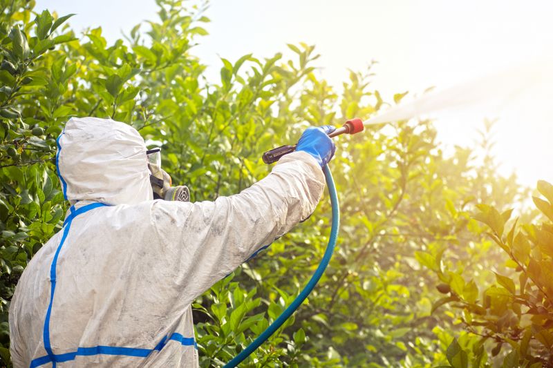 Fumigation Service in Lafayette, LA