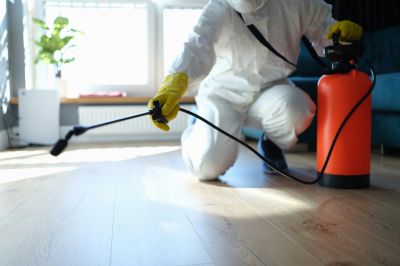 Hobo Spider Extermination in Mckinney, TX