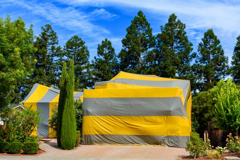Residential Fumigation in Winston Salem, NC
