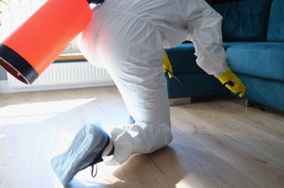 Spider Fumigation
